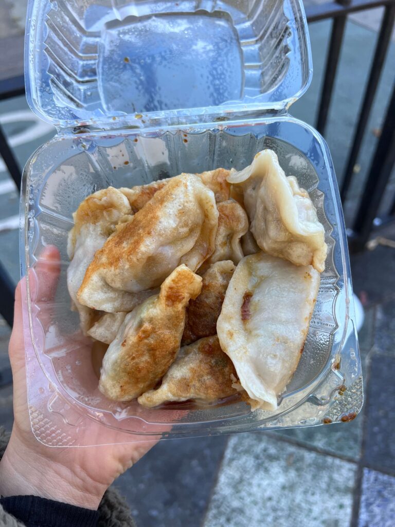 10 pork and chive dumplings from King Dumplings in China Town NYC